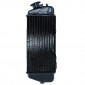 RADIATOR FOR 50cc MOTORBIKE BETA 50 RR -P2R- 3700948209035