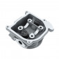 CYLINDER HEAD FOR SCOOT SYM 50 FIDDLE II 4 stroke, FIDDLE III 4 stroke, ORBIT II 4 stroke, ORBIT III 4 stroke, SYMPHONY 4 stroke/PEUGEOT 50 TWEET 4 stroke, VIVACITY 4 stroke (139QMA) -P2R- 3700948208526