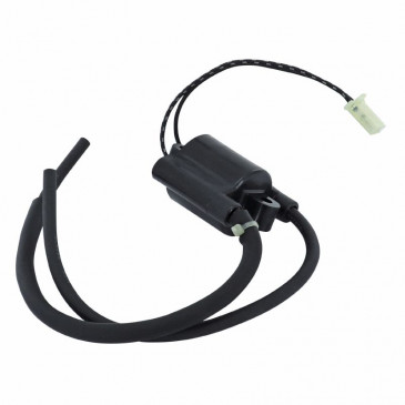 IGNITION COIL FOR MOTORBIKE SUZUKI 650 XF FREEWIND 1997>2001, 650 DR SE 1996>2014, 1300 XJR 2002>2012 (DOUBLE JAPANESE COIL F6T532 FOR CDI - 2 TERMINALS WITH CONNECTOR) -SELECTION P2R- 8434290543237