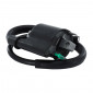 IGNITION COIL FOR MAXISCOOTER HONDA 110 LEAD 4T 2008>2013, 125-150 SH 2009>2012, 300 SH, 250 FORZA 2008>2012 / YAMAHA 125 XMAX, 250 XCITY 2008>2015, 400 XMAX (12V - 2 TERMINALS) -SELECTION P2R- 8434290540021
