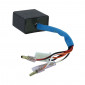 CDI UNIT FOR SCOOT APRILIA / BENELLI / BETA / ITALJET / MALAGUTI 50CC / MBK / YAMAHA 50CC EURO 2 <2002 (5 CABLES) - SELECTION P2R- 3700948227695