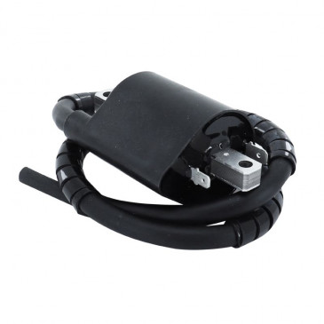 IGNITION COIL FOR MOTORBIKE YAMAHA 535 VIRAGO 1987>2003, 650 DRAGSTAR CLASSIC 1998>2006 (JAPANESE COIL F6T541 - 12V - 2 TERMINALS) -SELECTION P2R- 8434290543404