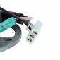 IGNITION STATOR FOR ENGINE - MINARELLI/YAMAHA 50 2 stroke - Horiz cylinder (7 poles) -SELECTION P2R- 8434290544463
