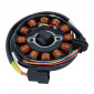IGNITION STATOR FOR ENGINE - KYMCO 125-200 4 stroke- CARB-AIR COOLED (12 poles) -SELECTION P2R-