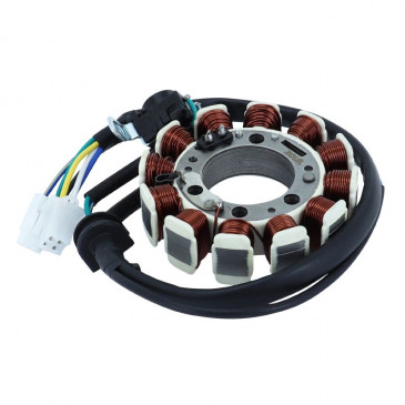 IGNITION STATOR FOR 50cc ENGINE - MALAGUTI 125 X3M ENDURO / YAMAHA 125 XT R, XT X 2002>2006 (12 poles - MONOPHASE) (R.O 3D6-H1410-00) -SGR