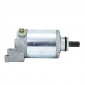 ELECTRIC STARTER FOR MAXISCOOTER APRILIA 125-150-200 SCARABEO 1999>2003 ROTAX POWERED / BMW 125-200 C1 (12V - 9 Teeth) -SELECTION P2R- 8434290552666