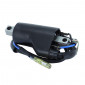 IGNITION COIL FOR MOTORBIKE SUZUKI 125 VAN VAN 2003>2015, 125 BURGMAN 2007>2014, 800 VL INTRUDER 2001>2013, 800 VZ MARAUDER 1997>2004 (12V - 2 TERMINALS) -SELECTION P2R- 8434290540854