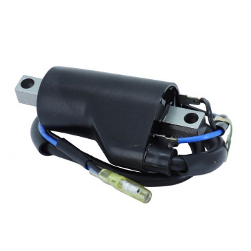 IGNITION COIL FOR MOTORBIKE SUZUKI 125 VAN VAN 2003>2015, 125 BURGMAN 2007>2014, 800 VL INTRUDER 2001>2013, 800 VZ MARAUDER 1997>2004 (12V - 2 TERMINALS) -SELECTION P2R- 8434290540854