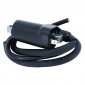 IGNITION COIL FOR MOTORBIKE CAGIVA 650 RAPTOR / DUCATI 600 MONSTER 1993>2001, 750 MONSTER 1996>2001 / SUZUKI 650 SV 1998>2002 (12V - 2 TERMINALS) -SELECTION P2R- 8434290543961