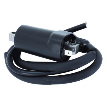 IGNITION COIL FOR MOTORBIKE CAGIVA 650 RAPTOR / DUCATI 600 MONSTER 1993>2001, 750 MONSTER 1996>2001 / SUZUKI 650 SV 1998>2002 (12V - 2 TERMINALS) -SELECTION P2R- 8434290543961