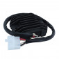 REGULATEUR DE TENSION MOTO ADAPTABLE YAMAHA 600 FZS FAZER 1998>2003, 850 TDM 1993>1995, 1300 XVZ ROYAL STAR 1996>2000 (12V - TRIPHASE - JAPONAIS SH650-12) (R.O 3VD-81960-00 / 3LS-81960-00) -SGR- 8434290546528