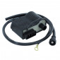 BOBINE ALLUMAGE AVEC CDI 50 A BOITE ADAPTABLE APRILIA / MINARELLI AM345-AM6 (4 COSSES) (DZE) -SGR -SELECTION P2R- 3700948227688
