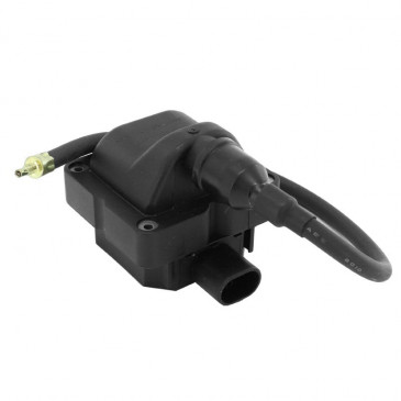 IGNITION COIL FOR MAXISCOOTER APRILIA 125-200 SCARABEO LIGHT IE 2009>2013 (12V - 2 TERMINALS) -SELECTION P2R- 8434290545002