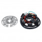 IGNITION STATOR FOR 50cc MOTORBIKE - DERBI 50 SENDA 1997>1999, 2003>2014 WITHOUT ELECTRIC STARTER (6 poles) -SELECTION P2R- 8434290544821