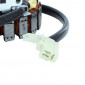 IGNITION STATOR (JAPANESE) FOR YAMAHA ENGINE 250cc 4 Stroke (18 POLES - TRIPHASE) -SGR- 8434290543626