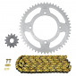 CHAIN AND SPROCKET KIT FOR BETA 50 RR ENDURO 2012>2017, RR ENDURO FACTORY 2012>2017, RR ENDURO STANDARD 2012>2014 420 13x51 (Ø SPROCKET 100/120/8.5/16) -AFAM- 3700948224380
