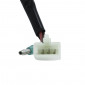 CONTACTEUR A CLE 50 A BOITE ADAPTABLE MBK 50 X-POWER 1997>2002/YAMAHA 50 TZR 1997>2002 (SEUL) -SELECTION P2R- 8430525065178