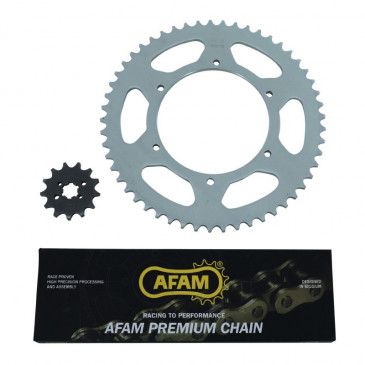 KIT CHAINE ADAPTABLE GILERA 50 SMT RACING 2011>2016 420 13x53 (DIAM COURONNE 108/123/6.5) -AFAM- 8020775038604
