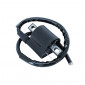IGNITION COIL FOR RIEJU 50 MRT, RS2, RS3/SHERCO 50 SE, SM-R, SE-R/GENRERIC 50 TRIGGER SM/MBK 50 BOOSTER, NITRO, STUNT, X-LIMIT/YAMAHA 50 AEROX, BWS, SLIDER, DT R -P2R- 3700948219478