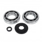 BEARING FOR CRANKSHAFT+SEALS - NTN FOR MAXISCOOT HONDA 125 SH 2003>2012 -TOP PERFORMANCES- 3700948224694