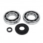 BEARING FOR CRANKSHAFT+SEALS - NTN FOR MAXISCOOT HONDA 125 SH 2003>2012 -TOP PERFORMANCES-