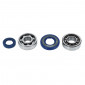 BEARING FOR CRANKSHAFT+SEALS - SKF FOR MAXISCOOTER PIAGGIO 125 VESPA PRIMAVERA-ET3 -TOP PERFORMANCES-