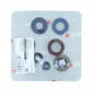 OIL SEAL (FULL SET) FOR MINARELLI 50 AM6/BETA 50 RR/YAMAHA 50 TZR/MBK X-POWER -ATHENA- 8055681305793