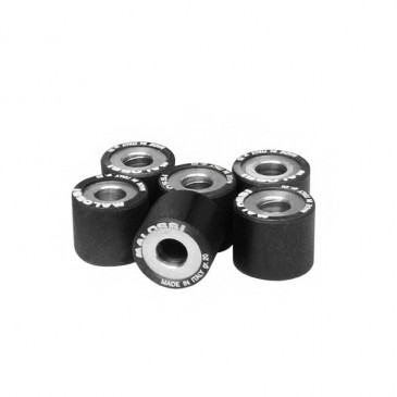 VARIATOR ROLLER FOR MAXISCOOTER MALOSSI 25x22,2 24,0g (x6) FOR PIAGGIO 500 X9 EVOLUTION FOR VARIATOR MULTIVAR 3700948265024
