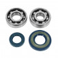 BEARING FOR CRANKSHAFT+SEALS FOR SCOOT (19x32x7) TOP PERF ADAPTABLE PIAGGIO 50 VESPA PK (KIT 6204+6303)