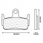 BRAKE PADS SET (2 pads) CL BRAKES FOR HONDA 50 X8R-S, X8R-X 1998> / SYM 50 JET SPORT 2T 2006> / KYMCO 50 SNIPPER Rear - (3041 SC)