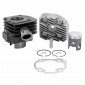 COMPLETE CYLINDER KIT FOR SCOOT TOP PERFORMANCES CAST IRON FOR MBK 50 OVETTO 2STROKE, MACH G/YAMAHA 50 NEOS 2STROKE, JOG/APRILIA 50 SR/MALAGUTI 50 F10 (BLACK TROPHY) 3700948161883