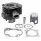 CYLINDER FOR SCOOT TOP PERFORMANCES CAST IRON FOR MBK 50 OVETTO 2-STROKE/MACH G/YAMAHA 50 NEOS 2-STROKE/JOG/APRILIA 50 SR/MALAGUTI 50 F10 (BLACK TROPHY) 3700948161906