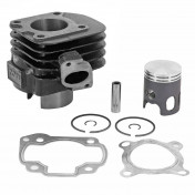 CYLINDER FOR SCOOT TOP PERFORMANCES CAST IRON FOR MBK 50 OVETTO 2-STROKE/MACH G/YAMAHA 50 NEOS 2-STROKE/JOG/APRILIA 50 SR/MALAGUTI 50 F10 (BLACK TROPHY) 3700948161906