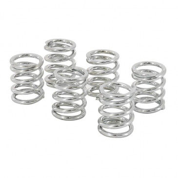 SPRING FOR CLUTCH DISC FOR KTM 60-65 SX 2000> (MO330F) -NEWFREN- 8025832380634