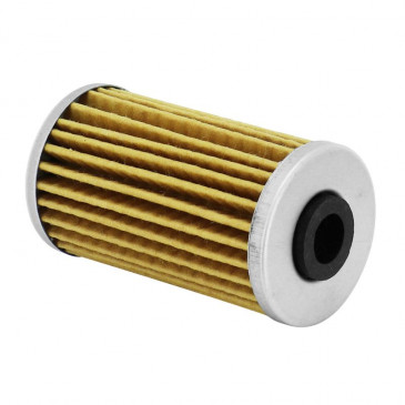 OIL FILTER FOR MAXISCOOTER KYMCO 125 DINK 2006>, GRAND DINK 2001> -SELECTION P2R- 3700948178874