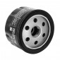OIL FILTER FOR MAXISCOOTER HIFLOFILTRO FOR BMW 600 SPORT 2012>, 650 GT 2012>, R 1200 GS, R 1200 R, R 1200 S, R 1200 ST, R 1200 RT, K 1600 GT (76x54mm) (HF164) 824225110678