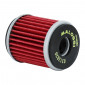 FILTRE A HUILE MAXISCOOTER MALOSSI RED CHILLI POUR YAMAHA 125 XMAX 2006 >,125 XCITY, 125 YZF-R125 / MBK 125 SKYCRUISER 2006>, 125 CITYLINER 2007>, 300 XMAX 2017> (EQUIVALENT HF141) 3700948135631