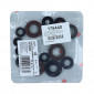 OIL SEAL (FULL SET) FOR DERBI 50 SENDA, GPR / GILERA 50 RCR, SMT -ATHENA-