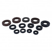 OIL SEAL (FULL SET) FOR DERBI 50 SENDA, GPR / GILERA 50 RCR, SMT -ATHENA- 8057018264360