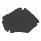 AIR FILTER FOAM FOR SCOOT PIAGGIO 50 LIBERTY 4STROKE 2009>, ZIP 4STROKE 2000>/APRILIA 50 SCARABEO 4STROKE 2010> -SELECTION P2R- 8430525092167