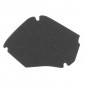 AIR FILTER FOAM FOR SCOOT PIAGGIO 50 LIBERTY 4STROKE 2009>, ZIP 4STROKE 2000>/APRILIA 50 SCARABEO 4STROKE 2010> -SELECTION P2R- 8430525092167