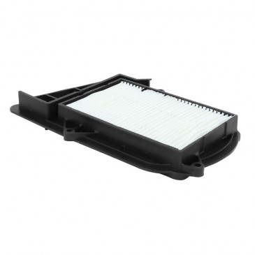 AIR FILTER FOR MAXISCOOTER YAMAHA 250 XMAX 2006>2016/MBK 250 SKYLINER 2000>2006/ITALJET 250 JUPITER 2002>2003 (EQUIVALENCE HFA4203) (VARIATOR FILTER) -P2R- 3700948051313