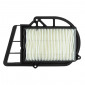 AIR FILTER FOR MAXISCOOTER YAMAHA 250 XMAX 2006>2016/MBK 250 SKYLINER 2000>2006/ITALJET 250 JUPITER 2002>2003 (EQUIVALENCE HFA4203) (VARIATOR FILTER) -P2R- 3700948051313
