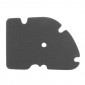 MOUSSE FILTRE A AIR MAXISCOOTER ADAPTABLE PIAGGIO 125 HEXAGON LX4 4T 1998>1999, LIBERTY 1998>2001, ET4 1996>1998, LX 1998>1999 SFERA 1995>1998/PEUGEOT 250 SATELIS 2004> -P2R- 3700948077337