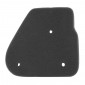MOUSSE FILTRE A AIR SCOOT ADAPTABLE CPI 50 ARAGON 2007>, GTR 2003>, HUSSAR 2003 >, OLIVER 2003>, POPCORN 2003>/KEEWAY 50 F-ACT 2006 >, FOCUS 2006>, HURRICANE 2006>, MATRIX 2006> -P2R- 3700948051740