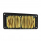 FILTRE A AIR MAXISCOOTER ADAPTABLE SYM 125-250 JOY RIDE 2003>2015 (EQUIVALENT HFA5102) -P2R- 3700948090480