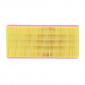 AIR FILTER FOR MAXISCOOTER PIAGGIO 500 X9, 125 GTX SUPER HEXAGON/GILERA 500 NEXUS/MALAGUTI 500 SPIDER-MAX -MIW- 8434290204428