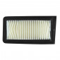 AIR FILTER FOR MAXISCOOTER SUZUKI 650 BURGMAN 2002>2013 -SELECTION P2R- 1006027210001
