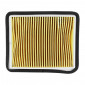 AIR FILTER FOR MAXISCOOTER LML 125 STAR 4 Stroke -SELECTION P2R-