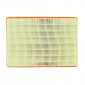 AIR FILTER FOR MOTORBIKE APRILIA 450-550 RXV-SXV/1000 RSV-4/1000 TUONO V4/MOTO-GUZZI 850-1100-1200 GREYO/1200 STELVIO/1400 CALIFORNIA/AUDACE/ELDORADO -HIFLOFILTRO HFA6101- 824225122978